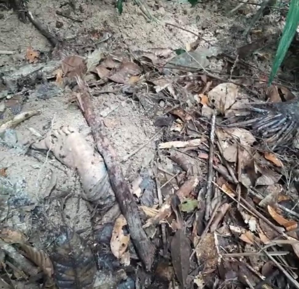 MACABRO Corpos são encontrados enterrados em cemitério clandestino no Nova Cidade MACABRO Corpos são encontrados enterrados em cemitério clandestino no Nova Cidade