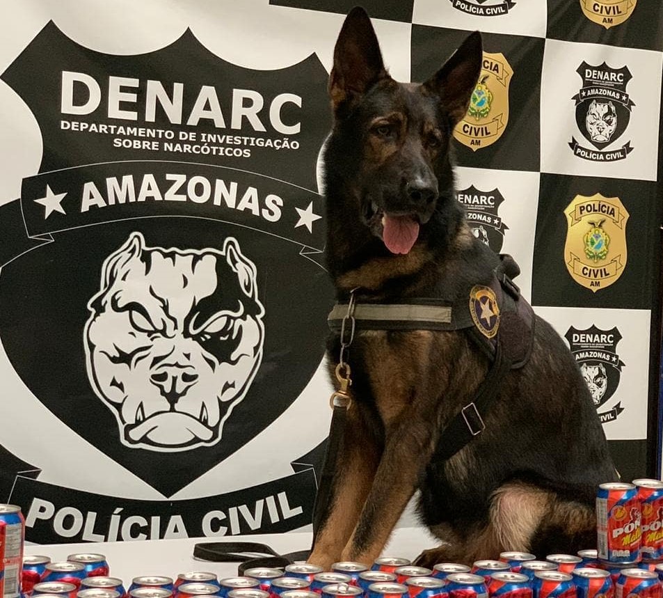 Cão Odin e polícia encontram 30kg de cocaína em 110 latas de energético Cão Odin e polícia encontram 30kg de cocaína em 110 latas de energético