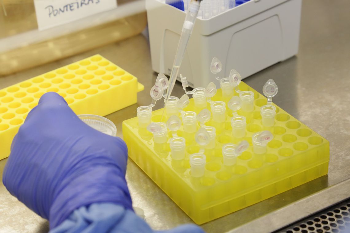 OMS declara coronavírus como emergência global OMS declara coronavírus como emergência global