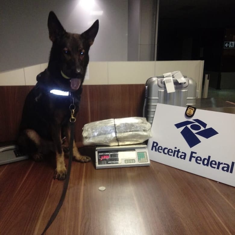 Odin encontra maconha skunk em mala despachada para o Rio de Janeiro