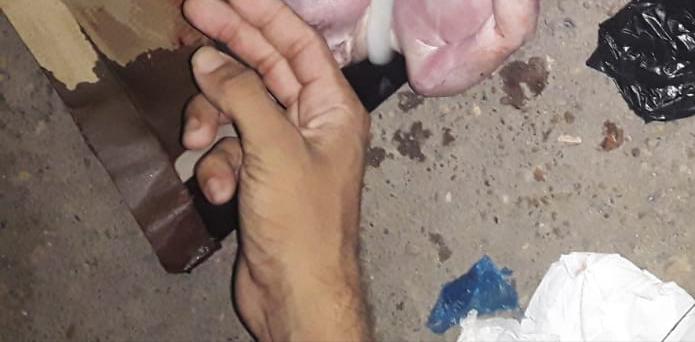 Feto de rec&eacute;m-nascido &eacute; encontrado em lixeira na Compensa