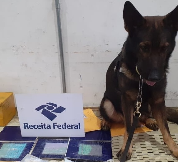 'Odin' acha 550 comprimidos de ecstasy em encomendas nos Correios 'Odin' acha 550 comprimidos de ecstasy em encomendas nos Correios