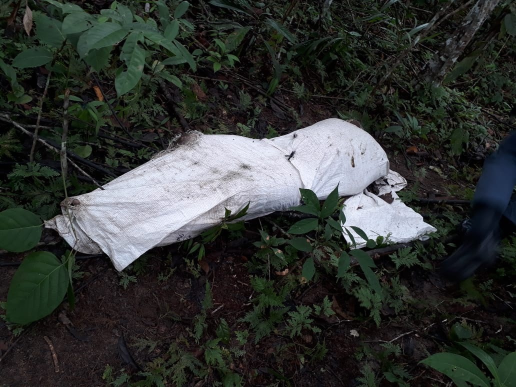 Corpo em decomposi&ccedil;&atilde;o &eacute; encontrado em saco pl&aacute;stico em ramal no Distrito