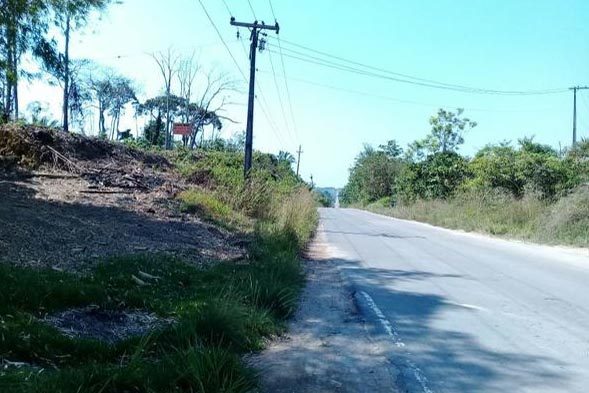 Moradores v&atilde;o procurar on&ccedil;a e acham homem ferido em s&iacute;tio AM-010