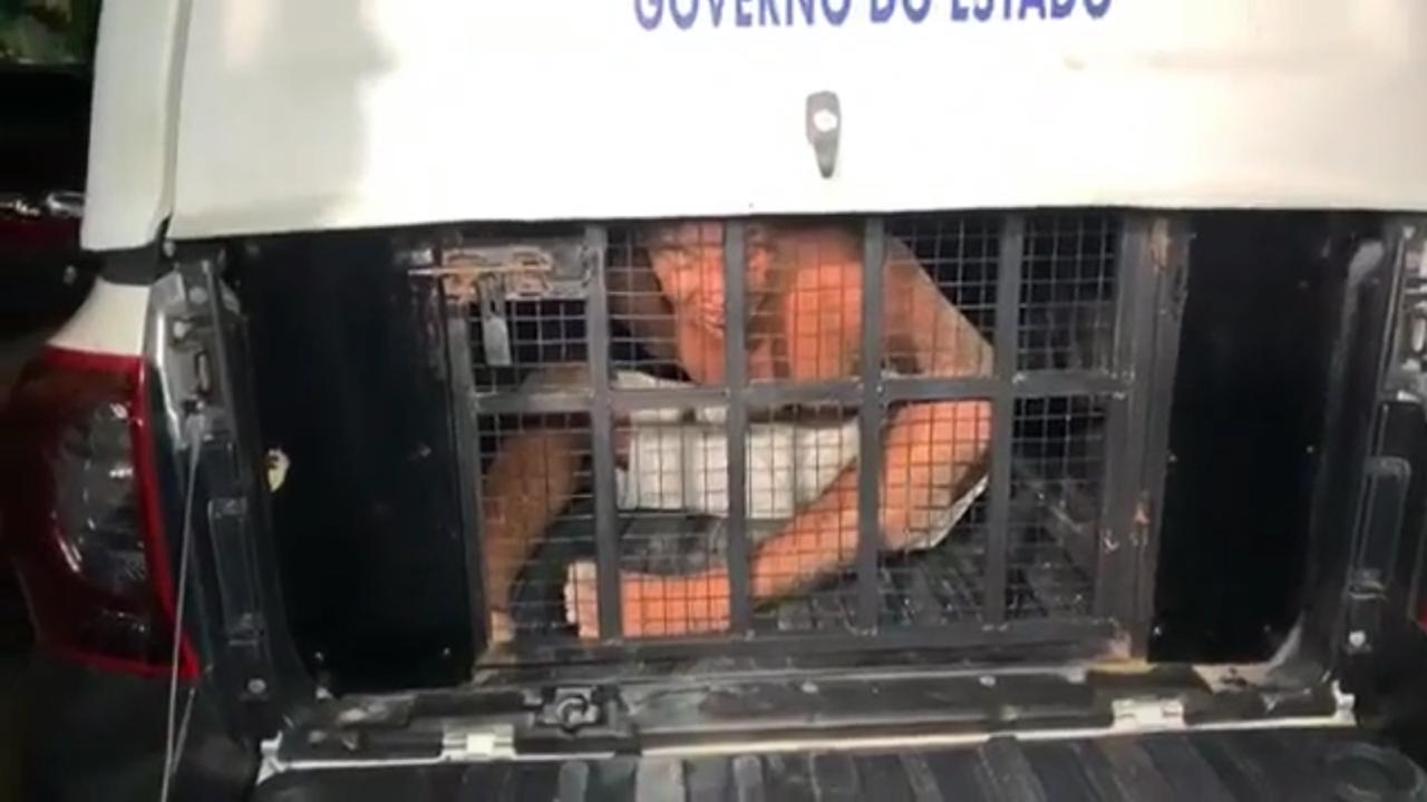Suspeito de balear mulher e atirar em PMs &eacute; detido e diz estar com coronav&iacute;rus para n&atilde;o ser preso