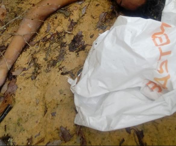 Corpo de mulher &eacute; encontrado dentro de saco na Reserva Adolpho Ducke