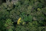 Desmatamento na Amazônia Legal cai 11% e atinge menor taxa dos últimos anos