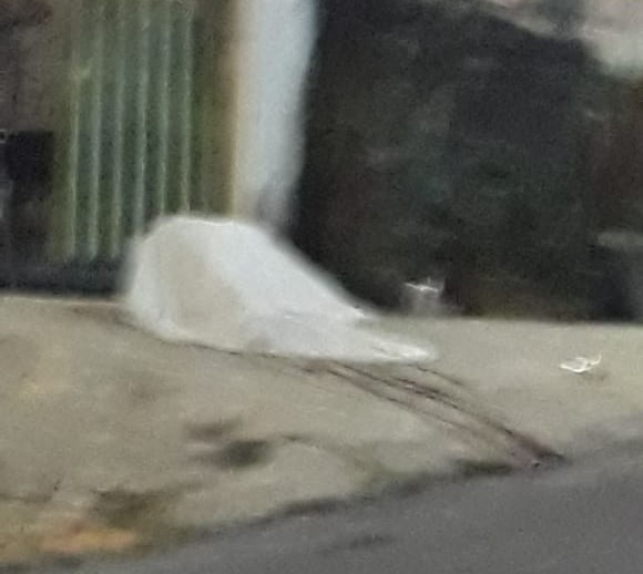 Jogando baralho, homem é morto a tiros no Mutirão; idoso fica ferido Jogando baralho, homem é morto a tiros no Mutirão; idoso fica ferido