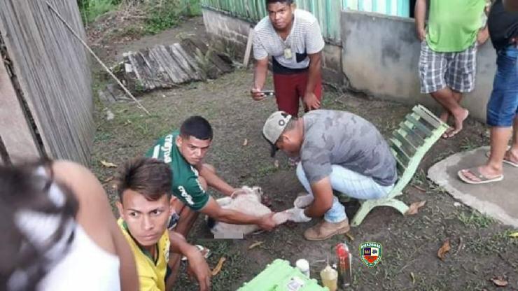 Cachorro tem focinho cortado por bêbado em Novo Aripuanã Cachorro tem focinho cortado por bêbado em Novo Aripuanã