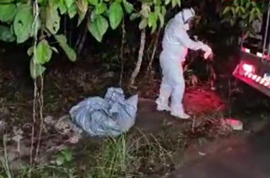 Corpo em avançado estado de decomposição é encontrado no ramal da Praia Dourada Corpo em avançado estado de decomposição é encontrado no ramal da Praia Dourada