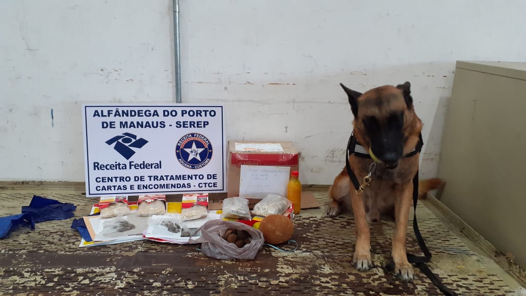 Receita Federal apreende droga em encomendas com ajuda do agente canino Deco