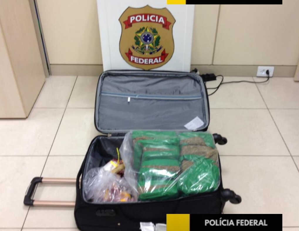PF apreende 16kg de maconha em mala de passageiro de 19 anos, no aeroporto de Manaus PF apreende 16kg de maconha em mala de passageiro de 19 anos, no aeroporto de Manaus