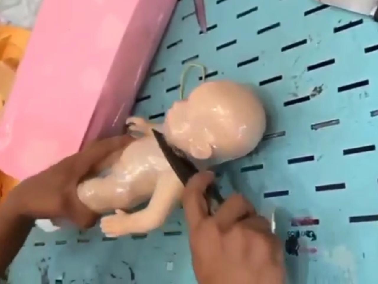 Receita Federal encontra skunk dentro de boneca enviada pelos Correios