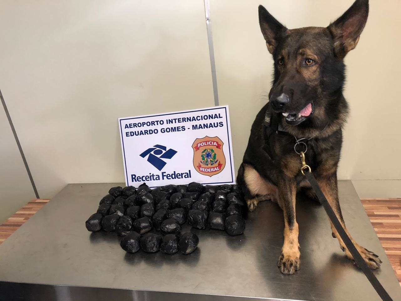 Passageiros são presos com 8kg de maconha em bagagem no aeroporto internacional Passageiros são presos com 8kg de maconha em bagagem no aeroporto internacional
