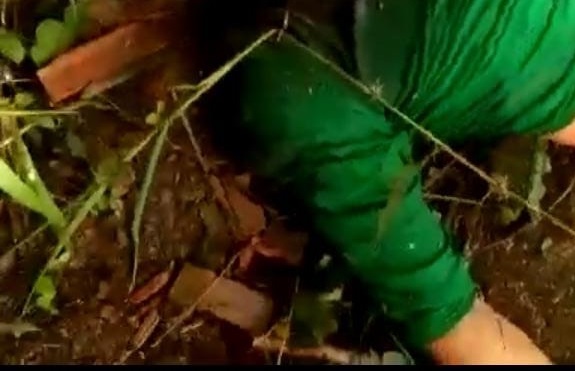 'Colorau', que tinha matado a própria avó, é encontrado morto a facadas 'Colorau', que tinha matado a própria avó, é encontrado morto a facadas