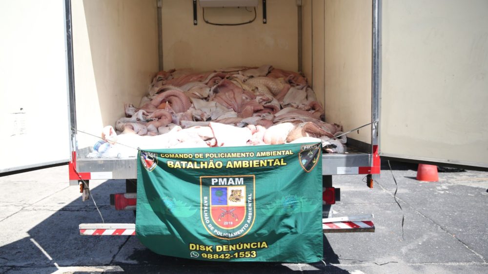 Polícia Ambiental CIPCães apreendem 3,5t de pescado ilegal no lago do Paracuuba Polícia Ambiental CIPCães apreendem 3,5t de pescado ilegal no lago do Paracuuba