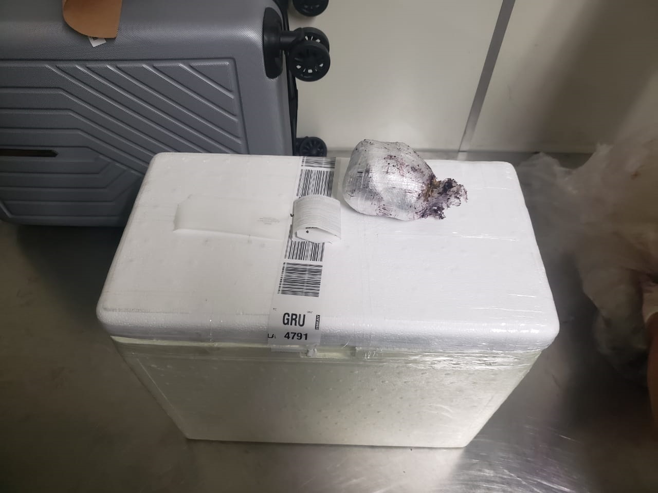 Açaí 'batizado' com maconha skunk é apreendido pela Federal no aeroporto internacional Açaí 'batizado' com maconha skunk é apreendido pela Federal no aeroporto internacional
