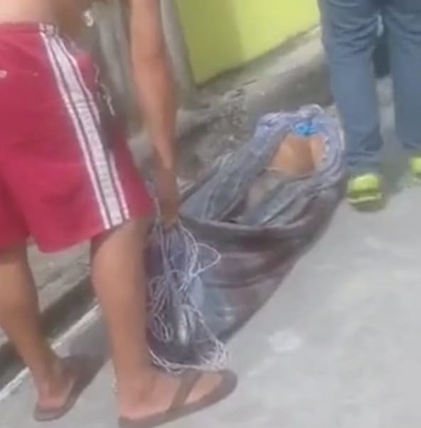 Homem é encontrado morto dentro de rede no Novo Aleixo Homem é encontrado morto dentro de rede no Novo Aleixo