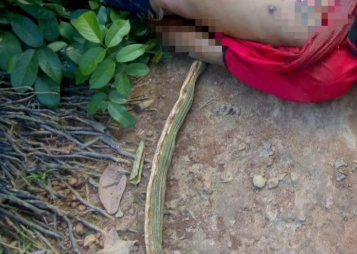 Bebedeira entre amigos termina com um morto em Itacoatiara Bebedeira entre amigos termina com um morto em Itacoatiara
