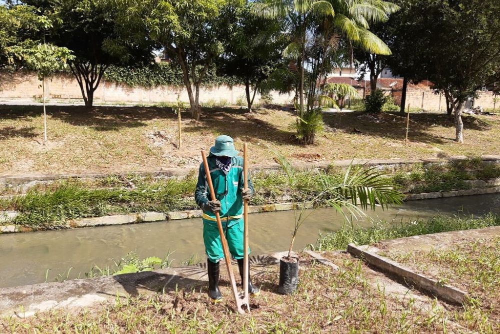 Plantio reforça arborização das margens do igarapé do Passarinho ...