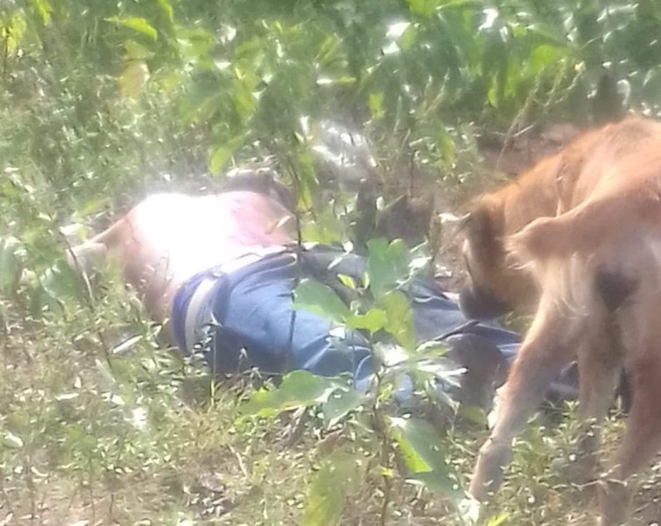 'Porquinho' tem corpo encontrado no Nova Cidade; ele foi morto com pá e faca 'Porquinho' tem corpo encontrado no Nova Cidade; ele foi morto com pá e faca