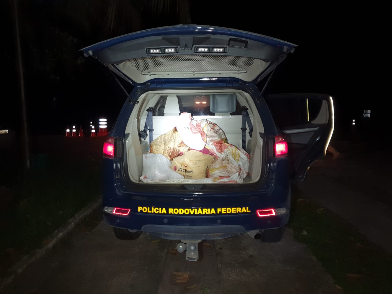 Homens s&atilde;o presos com ca&ccedil;a e armas; filhote de tartaruga e cabe&ccedil;a de anta estavam no carro