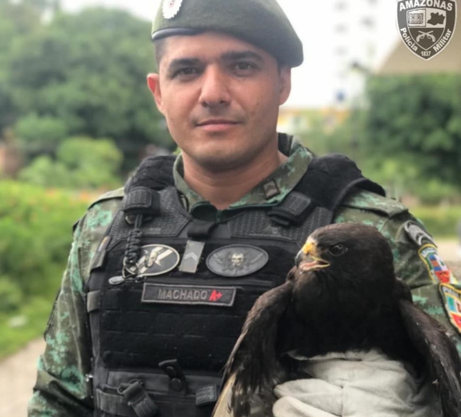 Batalhão Ambiental encontra forno de carvão clandestino em ramal e resgata gavião no Centro Batalhão Ambiental encontra forno de carvão clandestino em ramal e resgata gavião no Centro