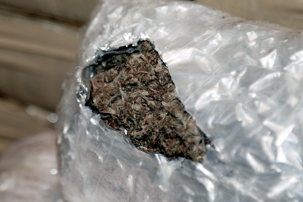 Maconha é a droga mais apreendida no AM; de janeiro até junho, Denarc apreendeu mais de 3t de entorpecentes Maconha é a droga mais apreendida no AM; de janeiro até junho, Denarc apreendeu mais de 3t de entorpecentes