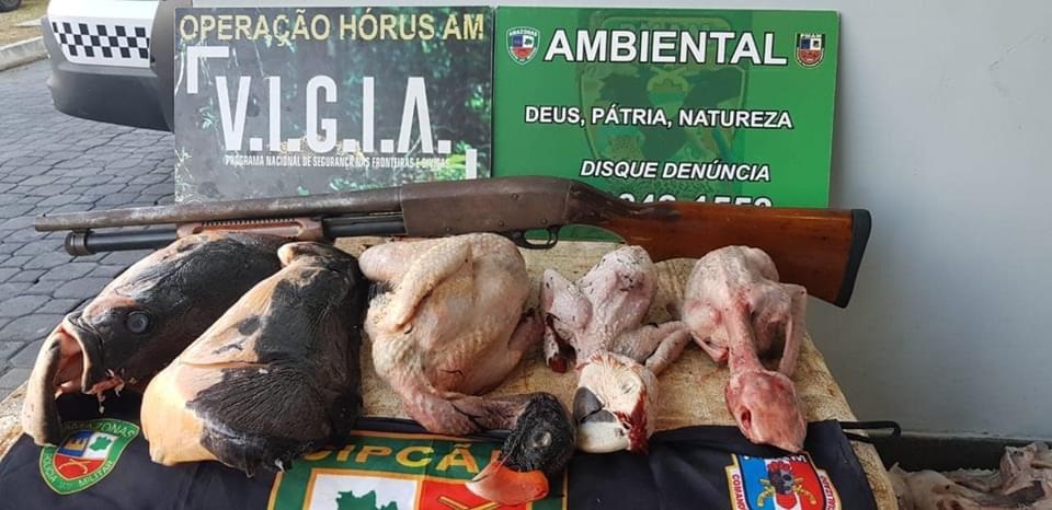 Araras estavam entre animais abatidos apreendidos em barco