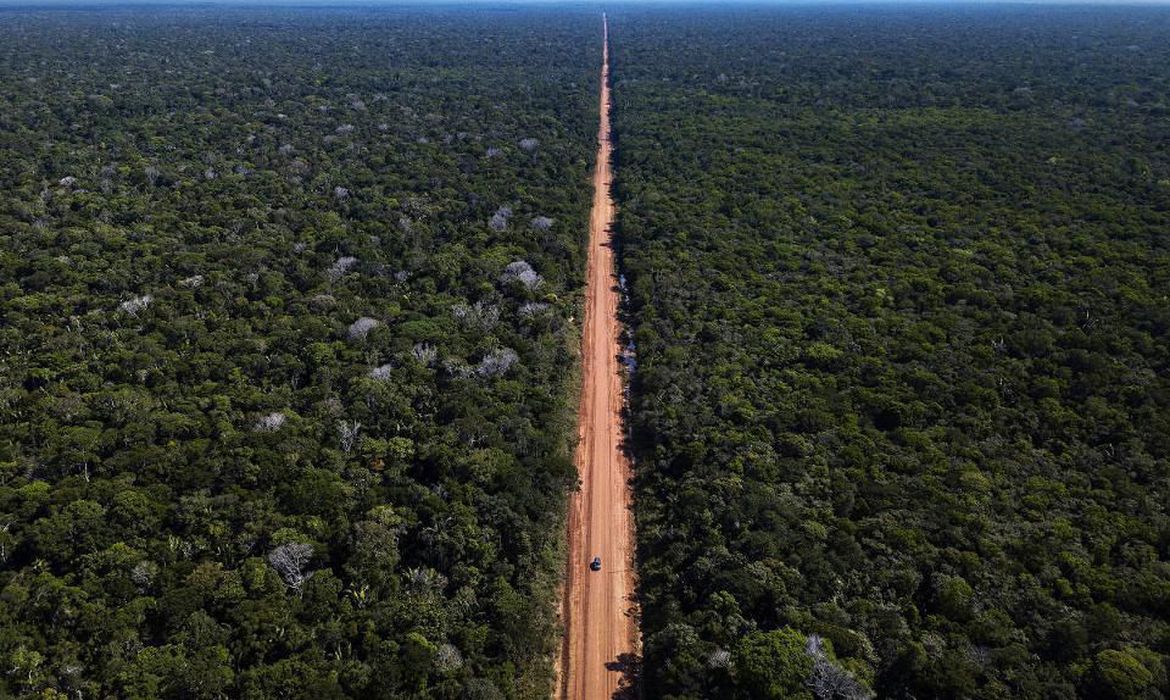 MPF quer suspensão de edital para obras em trecho da BR-319 sem estudo ambiental MPF quer suspensão de edital para obras em trecho da BR-319 sem estudo ambiental