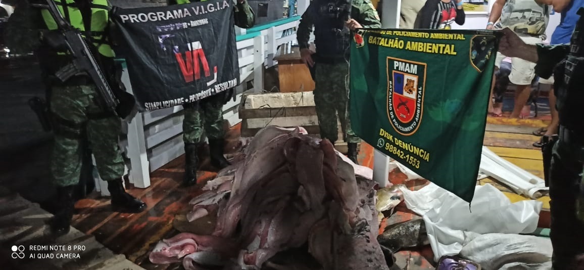 Carga com pirarucu, pacas, tatus e at&eacute; banha de peixe-boi &eacute; apreendida pelo Batalh&atilde;o Ambiental
