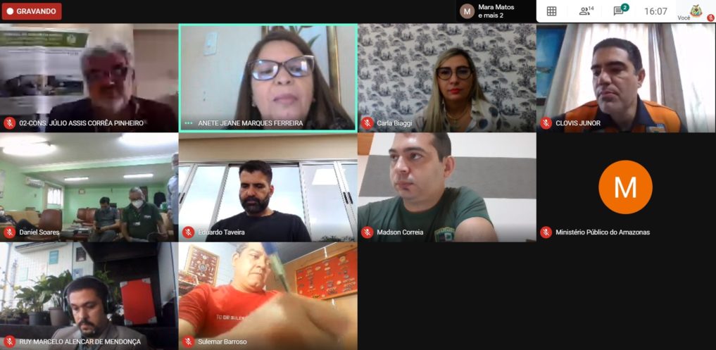 TCE faz reunião virtual com órgãos amazonenses para tratar de desmatamento e queimadas TCE faz reunião virtual com órgãos amazonenses para tratar de desmatamento e queimadas