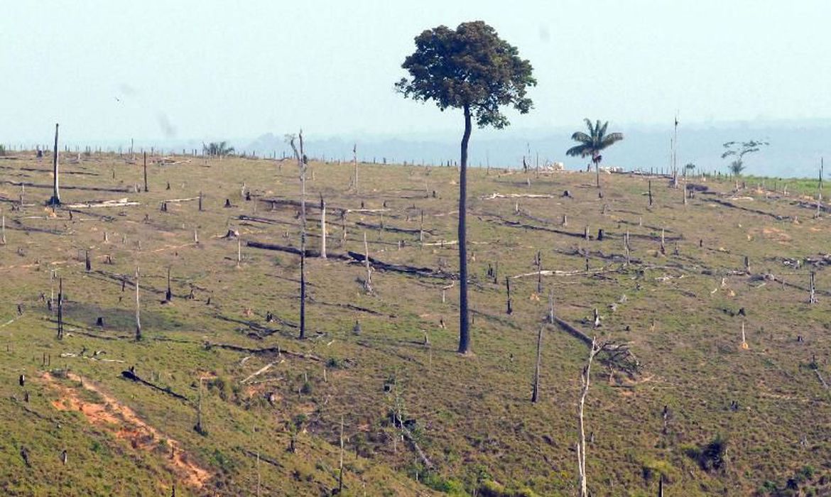Governo prorroga presença das Forças Armadas na Amazônia Legal Governo prorroga presença das Forças Armadas na Amazônia Legal