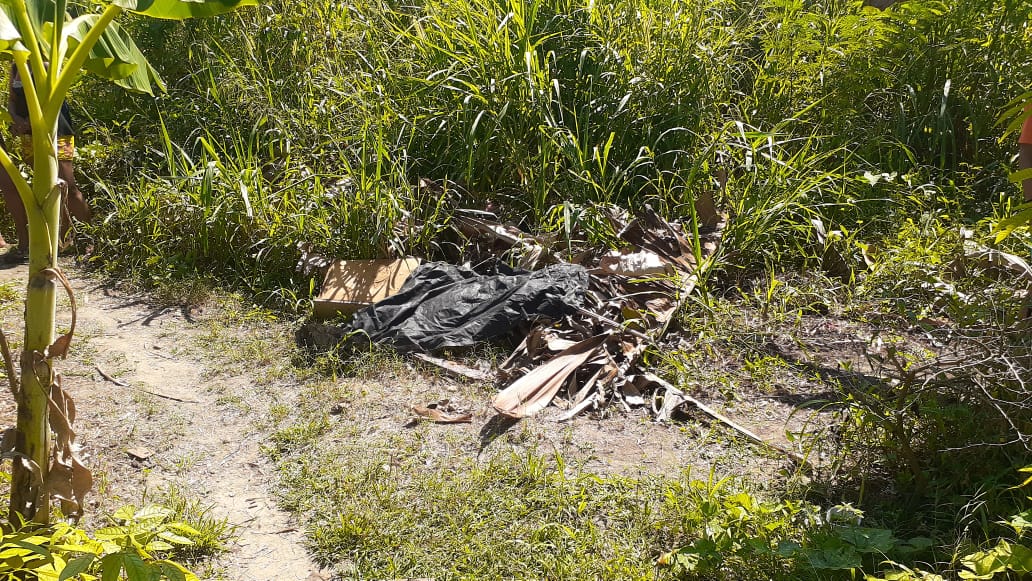 Corpo é encontrado por mulher que molhava plantas em Petrópolis Corpo é encontrado por mulher que molhava plantas em Petrópolis