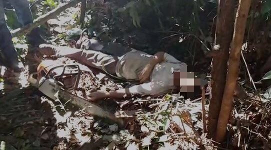 Agricultor morre ao ser atingido por galho na cabe&ccedil;a em Presidente Figueiredo