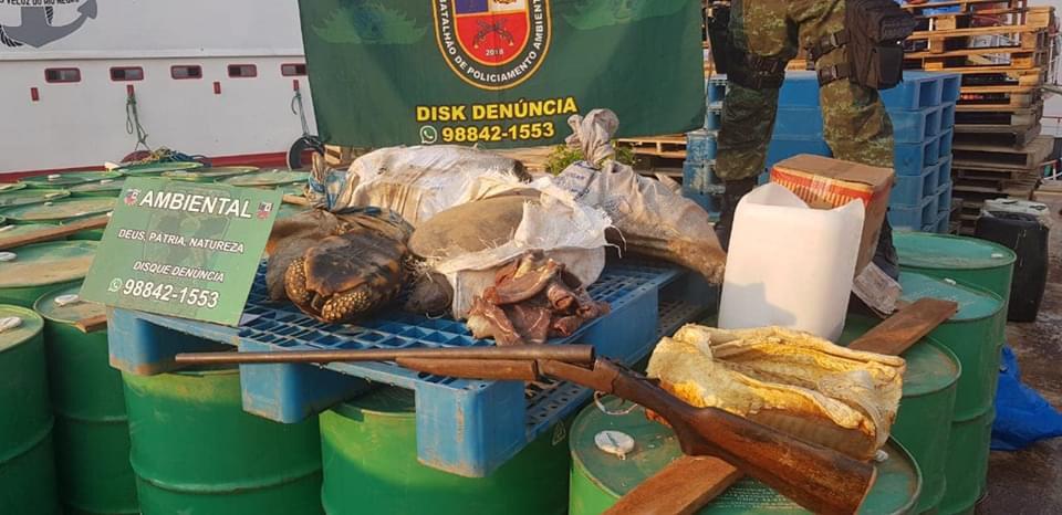 Quelônios, carne de caça e pescado são apreendidos em balsa no São Raimundo Quelônios, carne de caça e pescado são apreendidos em balsa no São Raimundo