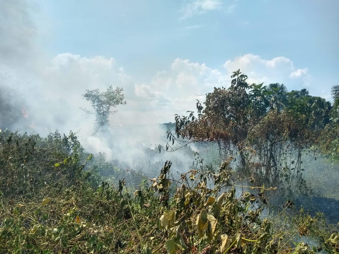 Bombeiros atenderam 23 ocorr&ecirc;ncias de inc&ecirc;ndio no fim de semana
