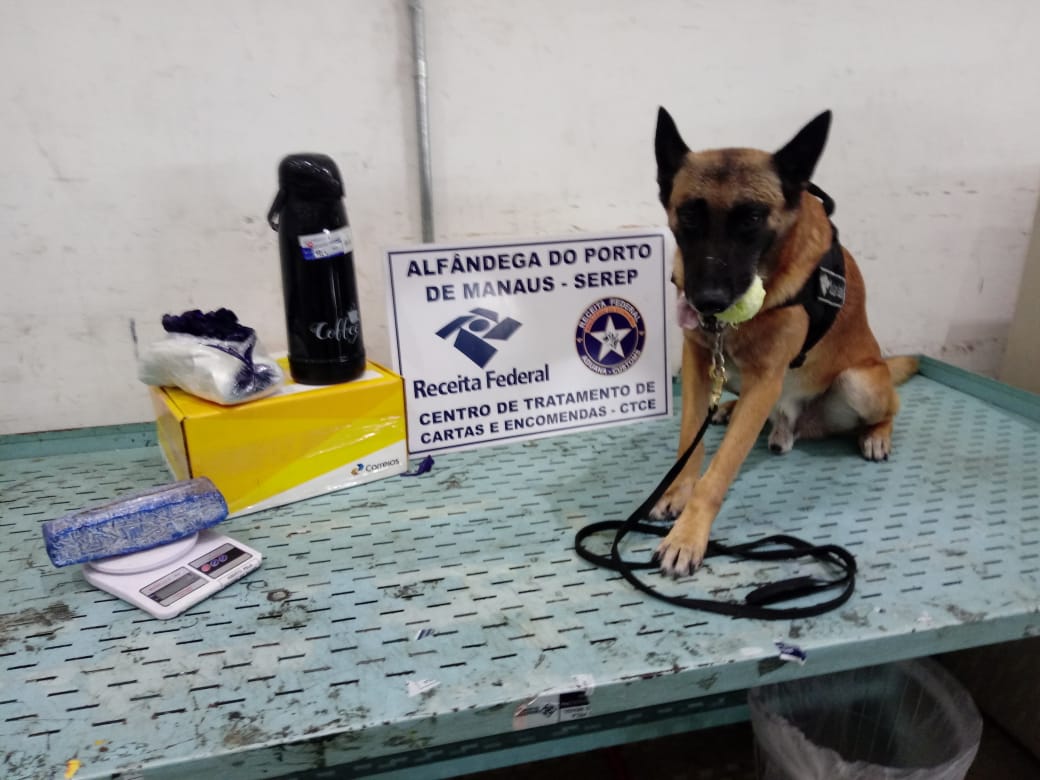 Skunk e haxixe são apreendidos em encomendas dos Correios com ajuda de cães farejadores Skunk e haxixe são apreendidos em encomendas dos Correios com ajuda de cães farejadores