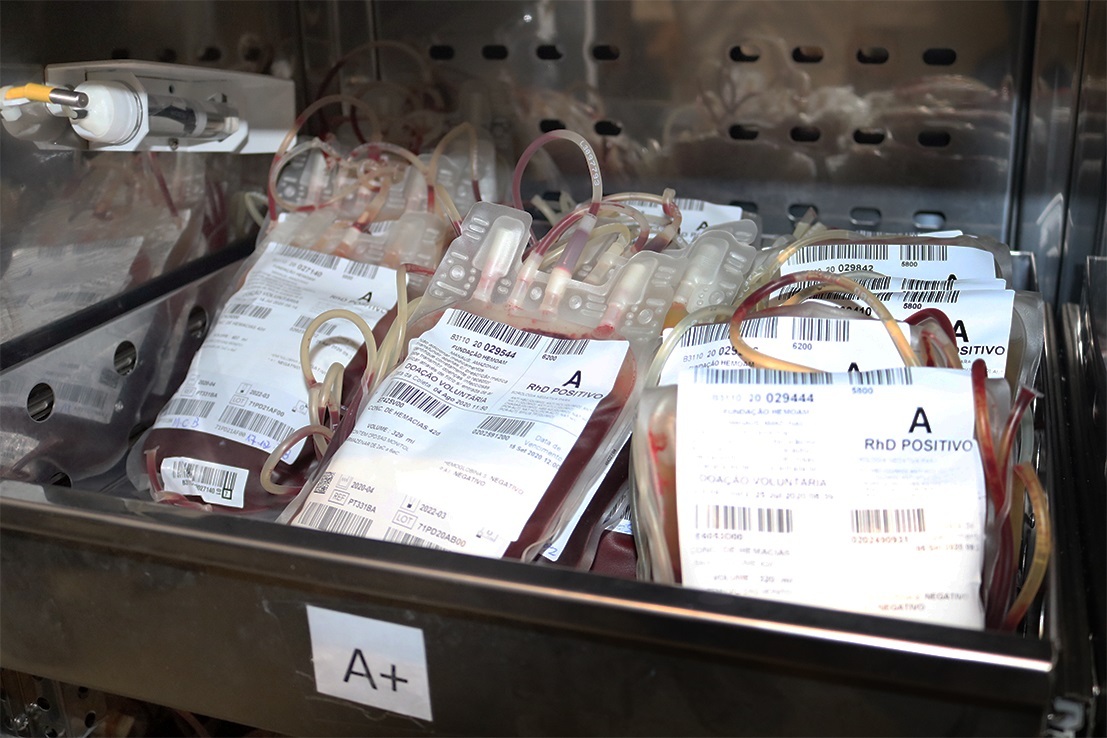 Novos equipamentos aprimoram armazenamento e segurança de bolsas de sangue na FCecon Novos equipamentos aprimoram armazenamento e segurança de bolsas de sangue na FCecon