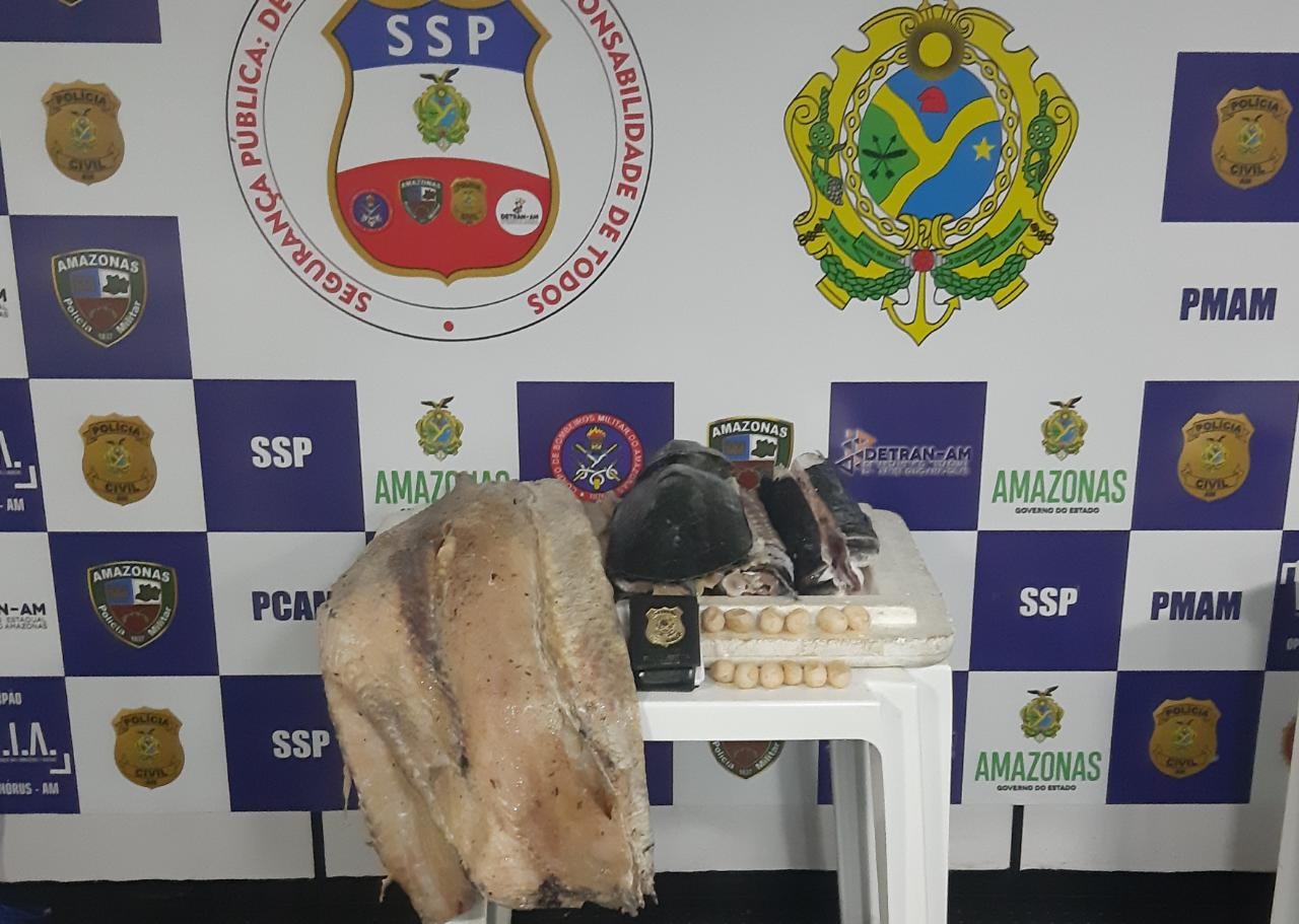 Dono de embarcação com ovos de tracajá e pirarucu é multado em R$ 75 mil por crime ambiental Dono de embarcação com ovos de tracajá e pirarucu é multado em R$ 75 mil por crime ambiental