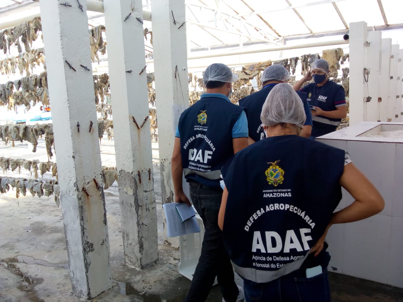 Adaf interdita charquearia em Rio Preto da Eva e 5t de charque são apreendidas Adaf interdita charquearia em Rio Preto da Eva e 5t de charque são apreendidas
