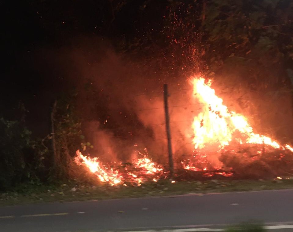Incêndio em vegetação é registrado perto de shopping na zona Norte Incêndio em vegetação é registrado perto de shopping na zona Norte