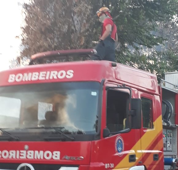 Bombeiros combatem inc&ecirc;ndios em vegeta&ccedil;&atilde;o em Manaus