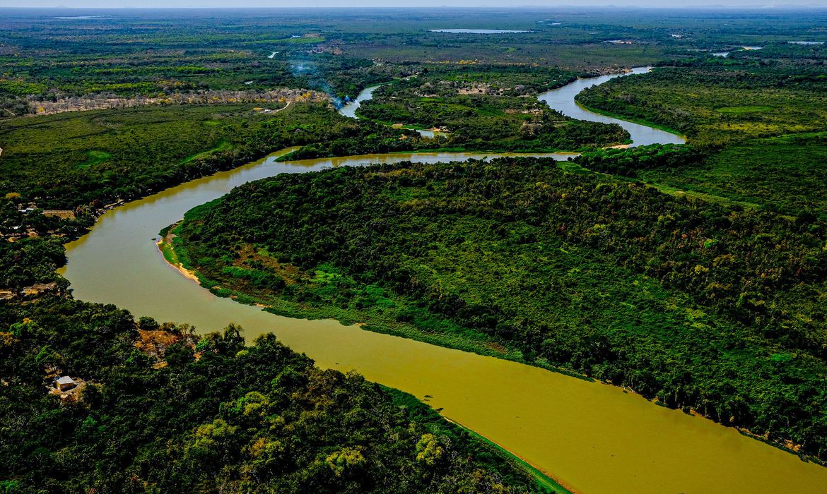 Per&iacute;cia afirma que inc&ecirc;ndio no Pantanal mato-grossense foi intencional