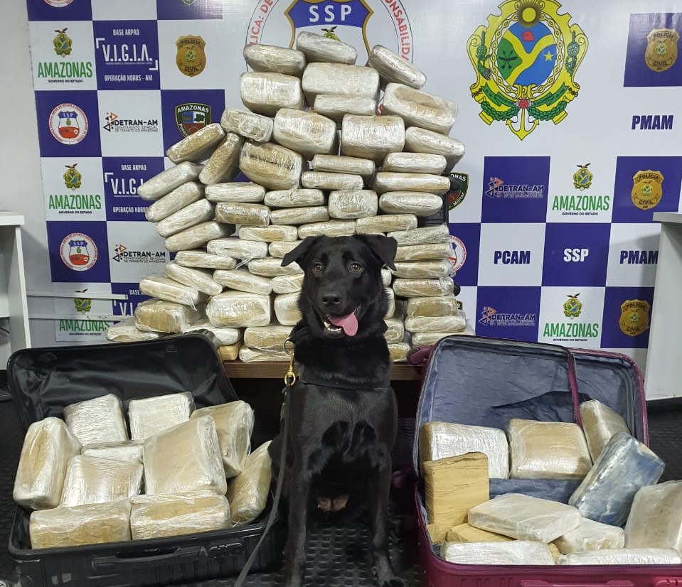 100kg de maconha são apreendidos e 6 pessoas presas durante ação na Base Arpão 100kg de maconha são apreendidos e 6 pessoas presas durante ação na Base Arpão