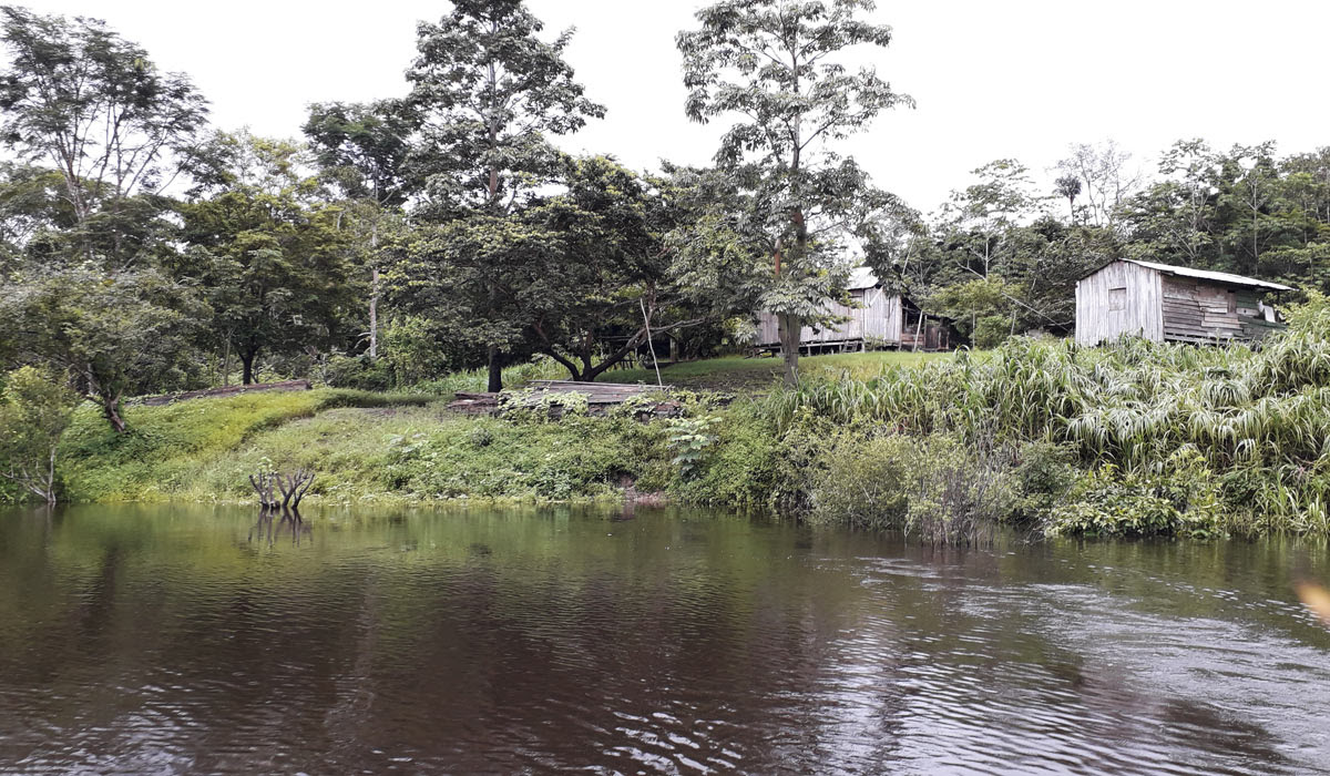 Conjunto de ilhas artificiais pr&eacute;-coloniais &eacute; descoberto por arque&oacute;logos no AM