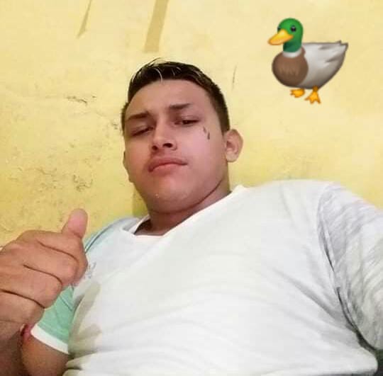 'Pato' é executado com tiros à queima-roupa durante festa no Japiim 'Pato' é executado com tiros à queima-roupa durante festa no Japiim