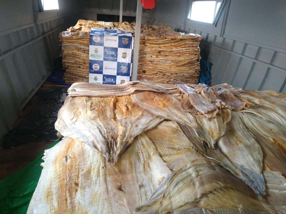 Base Arpão apreende 8,3t de pirarucu e carne de jacaré Base Arpão apreende 8,3t de pirarucu e carne de jacaré