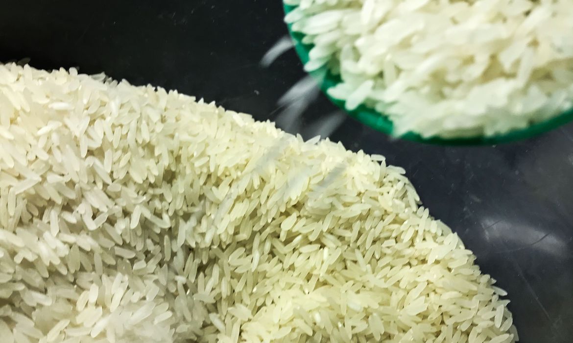 Governo define crit&eacute;rios para cota de importa&ccedil;&atilde;o de arroz