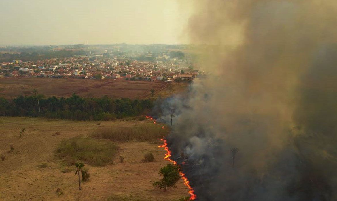 Parlamentares visitam &aacute;reas queimadas no Pantanal